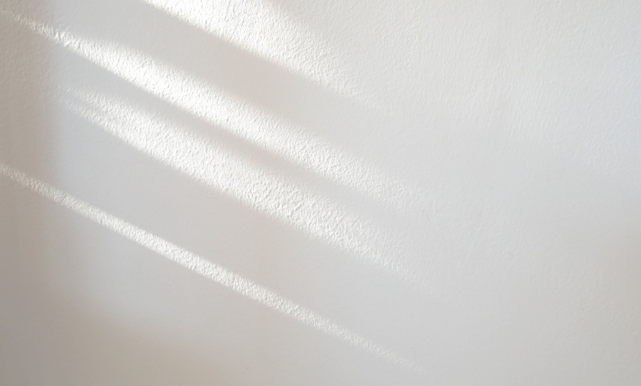Shadow of Leaves